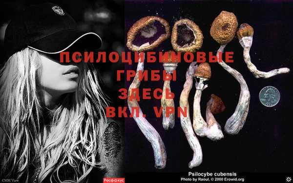 бутик Новодвинск
