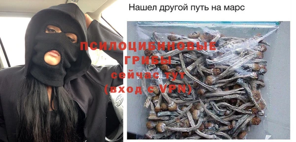 МДПВ Новозыбков