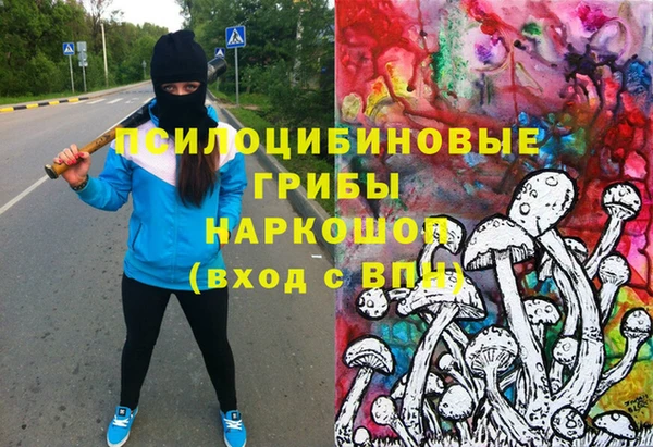 МДПВ Новозыбков