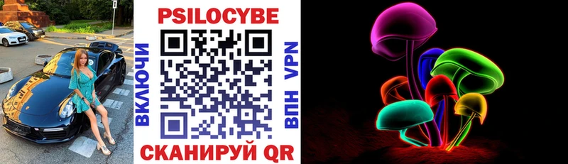 Купить где  Ижевск  Галлюциногенные грибы Cubensis 